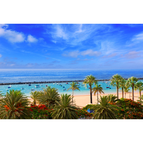 TENERIFE - HOTEL JACARANDA