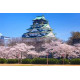 DREAM COLLECTION EXPO OSAKA: Tour del Giappone Verso il Sol Levante - dal 05/10/25 al 15/10/25