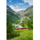 Trenino del Bernina in Inverno - 23 Maggio 2027